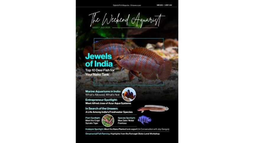 The-Weekend-Aquarist The Weekend Aquarist Releases Its 7th Issue — Available on Magzter and in Print Across India