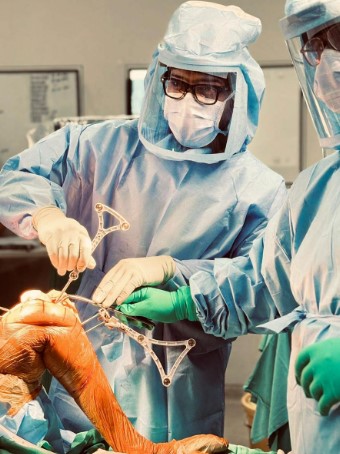 The Precision Revolution; Robotic Joint replacement an Article by Dr Dibya Singha The Precision Revolution; Robotic Joint replacement an Article by Dr Dibya Singha