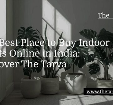 The Best Place to Buy Indoor Plants Online in India: Discover The Tarva