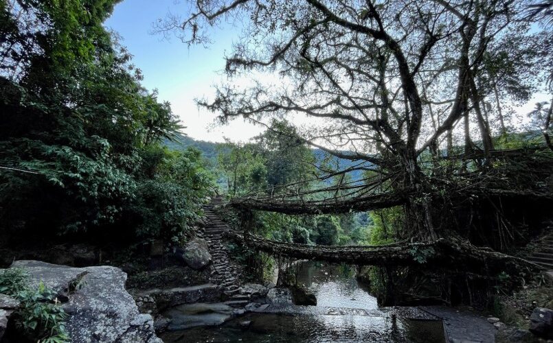 Muddie Trails Crosses 50,000 Travelers and Opens New Journeys into Tawang and Meghalaya