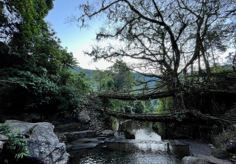 Muddie Trails Crosses 50,000 Travelers and Opens New Journeys into Tawang and Meghalaya